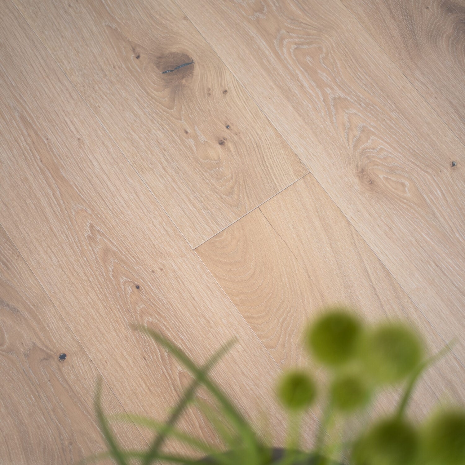 eksklusiv egetræ plankegulv med knaster i hvid mat lak og med kliksystem