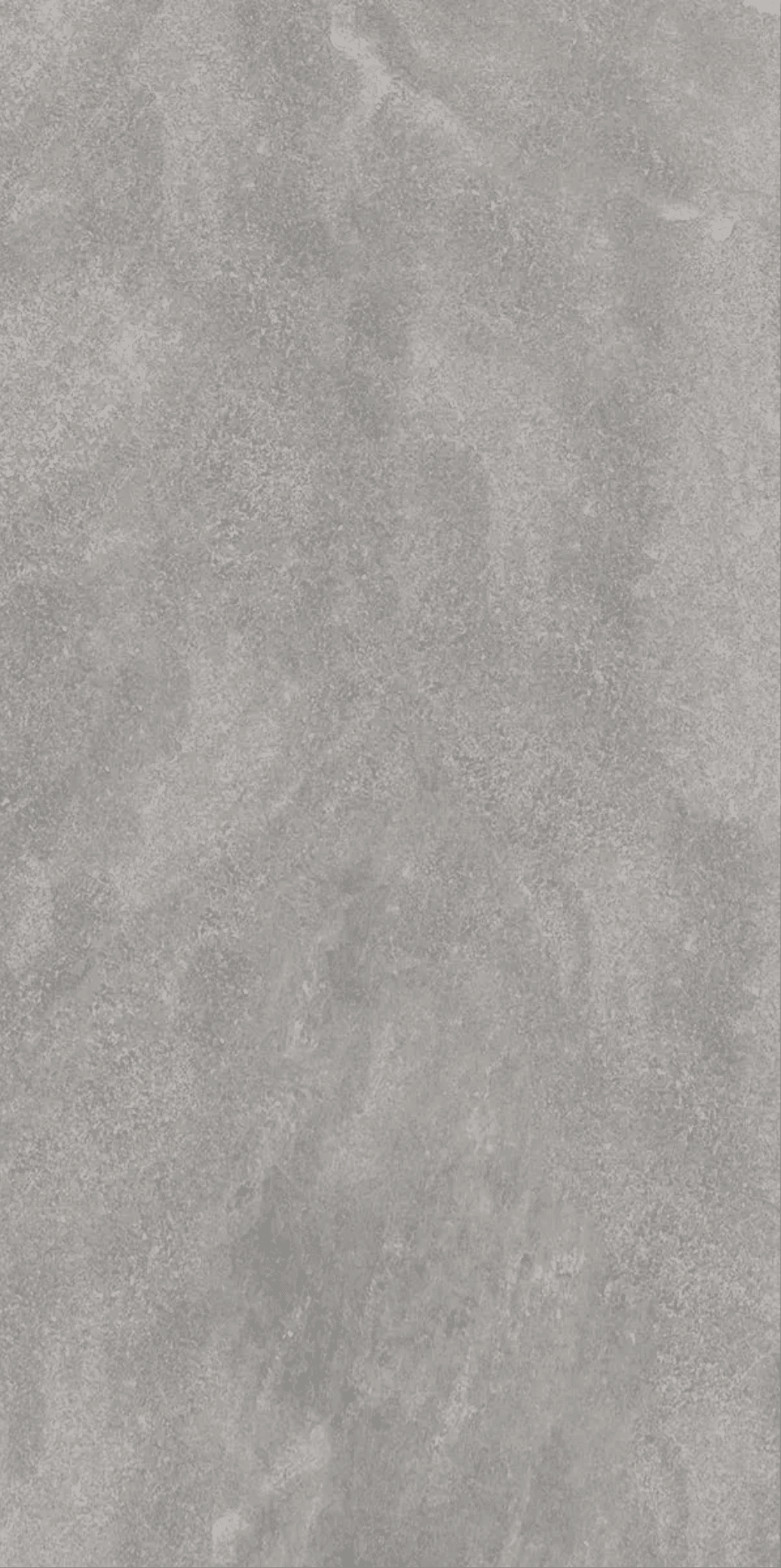 Stone Grey Quartzite