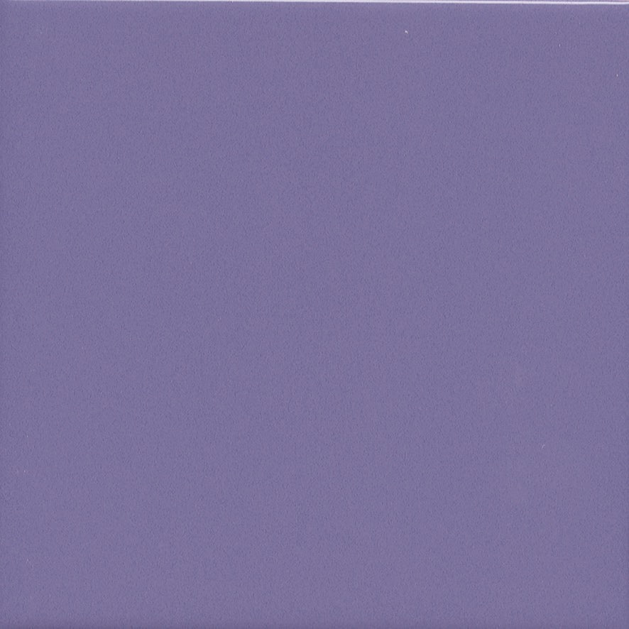 Butchers Choice - Blank