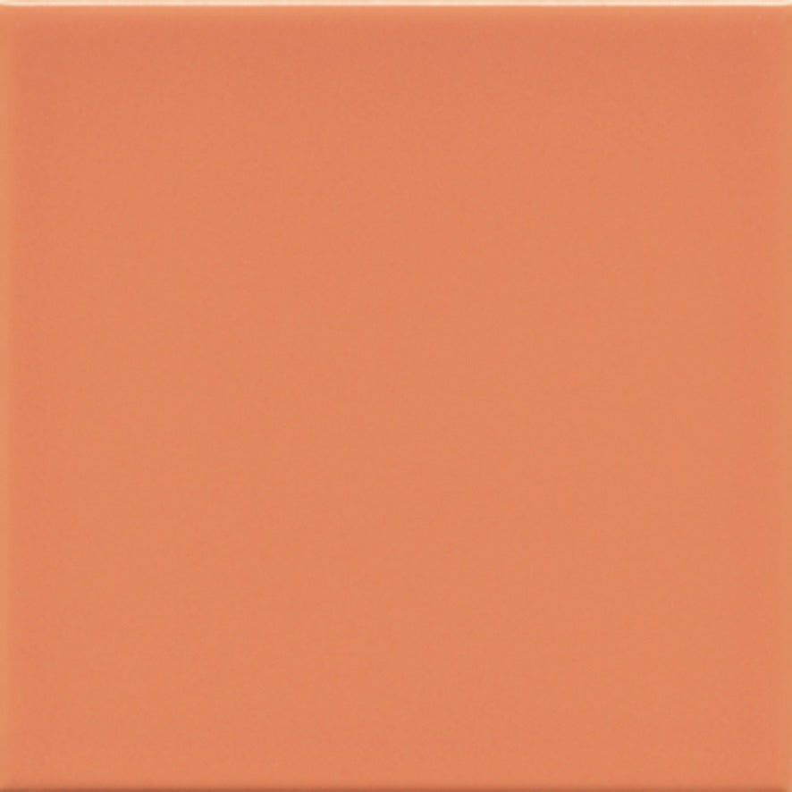 Butchers Choice - Blank