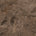 Rust