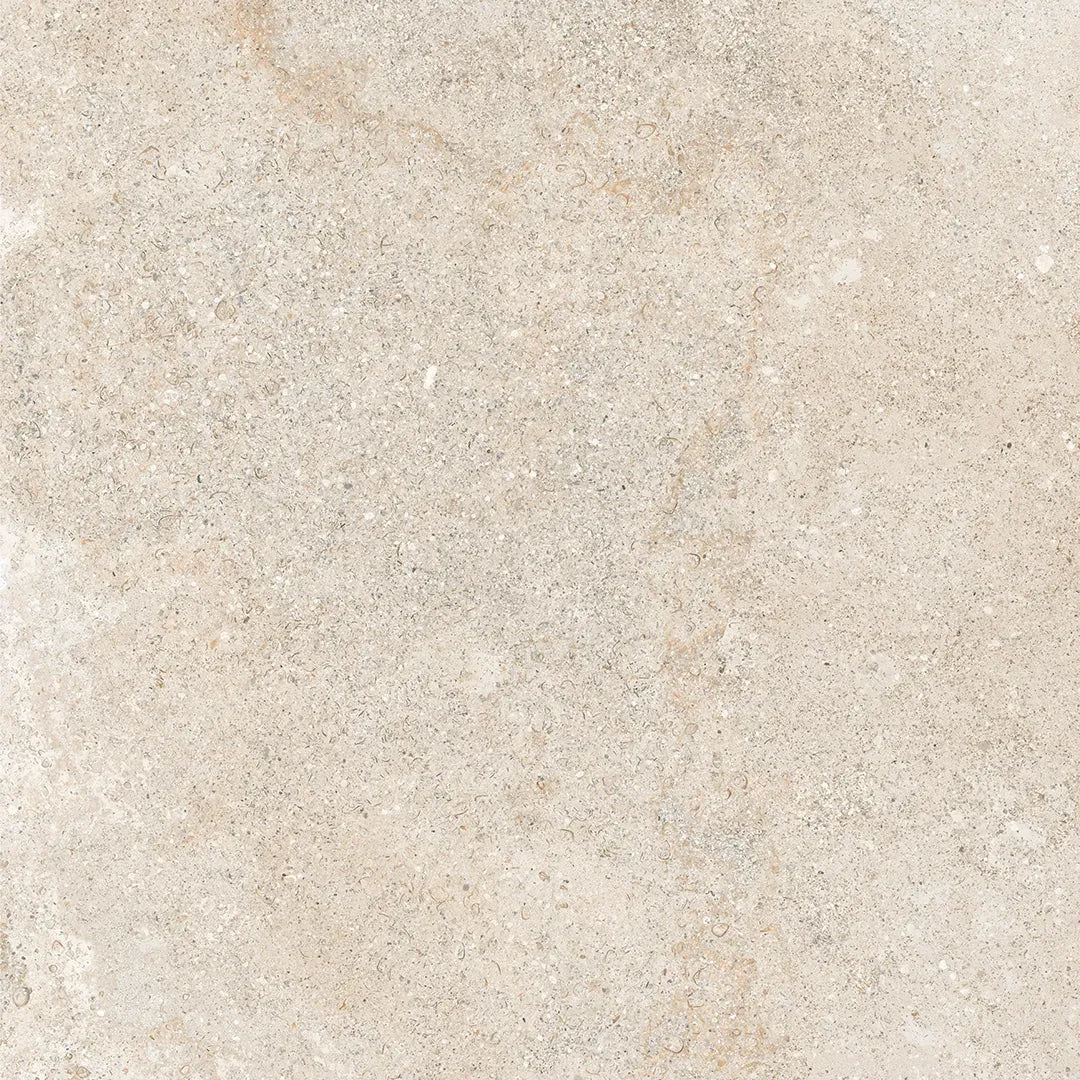 OUTLET - Bone Ivory  - 80 x 80 cm (6.40 m2)